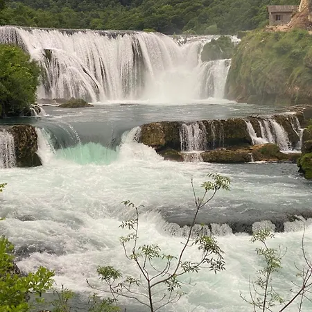 My Choice * Bihac